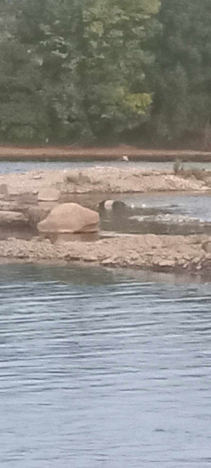 U rijeci Drini kod Čelopeka ribari pronašli beživotno tijelo (FOTO+VIDEO)