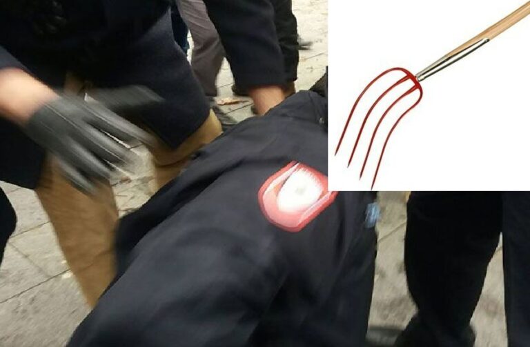 Predložen pritvor licu koje je sjenama za vilo povrijedilo policajca u naselju Voljavica kod Bratunca