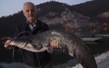 Ulovljen som od skoro 10 kilograma u Zvorničkom jezeru, sretne ruke bio iskusni Zijad Efendića iz Diviča kod Zvornik (FOTO)