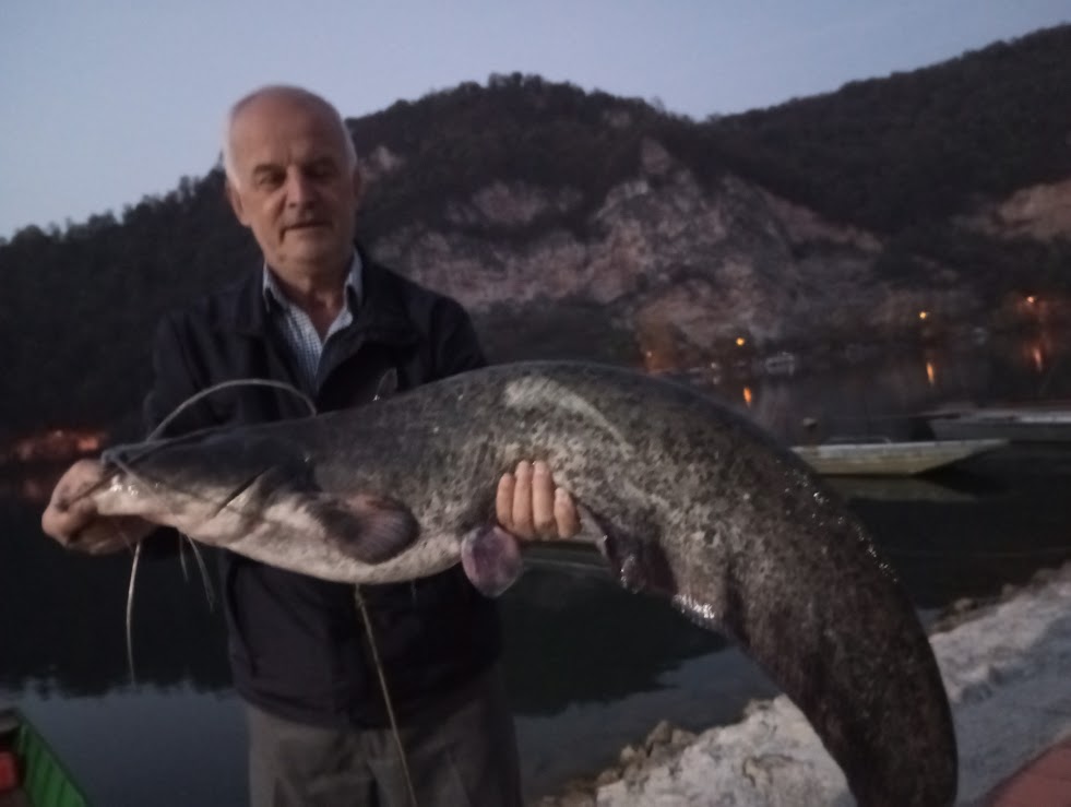 Ulovljen som od skoro 10 kilograma u Zvorničkom jezeru, sretne ruke bio iskusni Zijad Efendića iz Diviča kod Zvornik (FOTO)