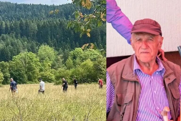 Godina dana od nestanka povratnika Alije Selimbašića, istraga se nije pomakla sa mrtve tačke