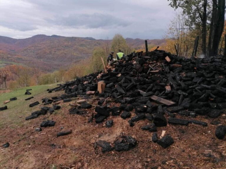 Novi požar, izgorjela štala