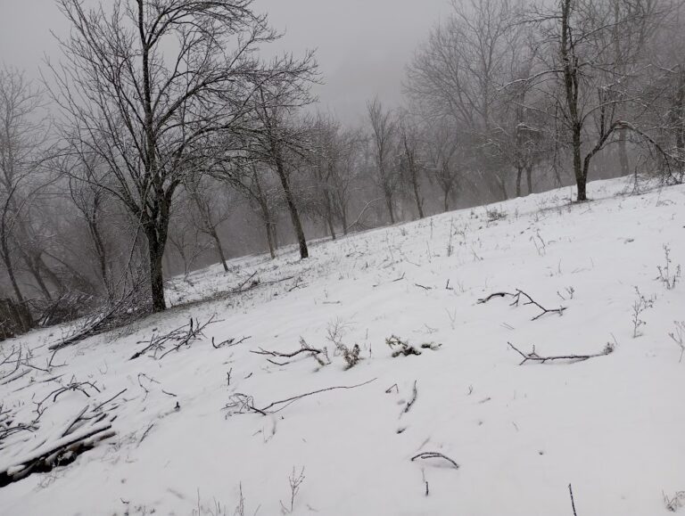 Krčmarice– Gornji Priječani