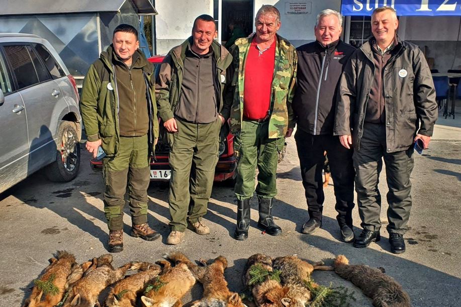 Lovci u Malom Zvorniku ulovili dva šakala i šest lisica (FOTO)