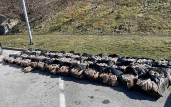 UIO BiH oduzela više od pola tone rezanog sušenog duhana (FOTO)