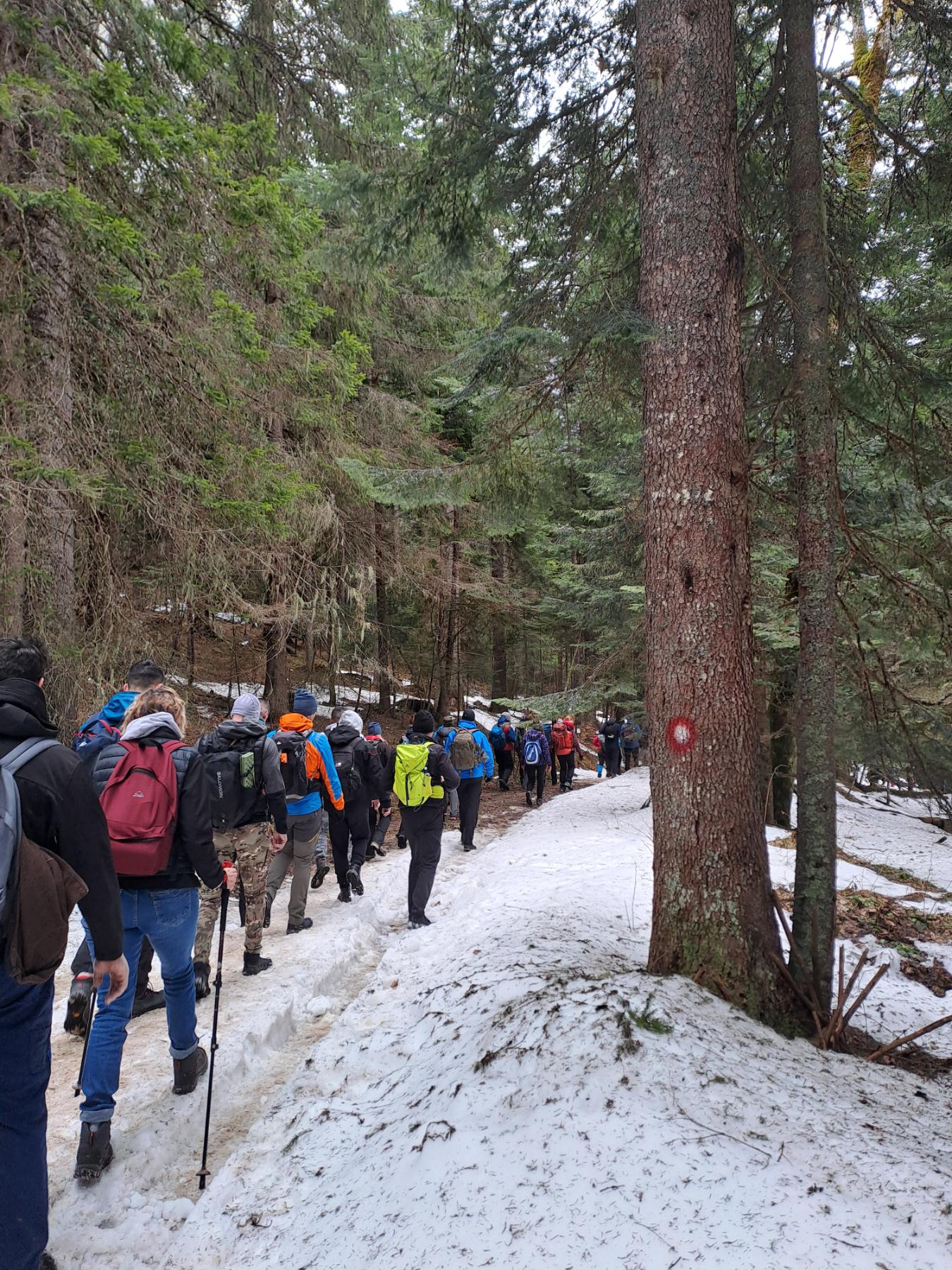 Zvorničani i na ovogodišnjom pohodu na Pjenovac među najbrojnijim (FOTO)