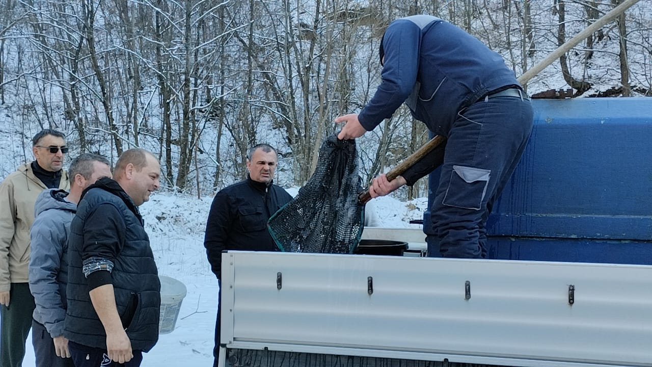 Više od hiljadu komada lovne pastrmke pušteno u rijeku Studeni Jadar u Milićima