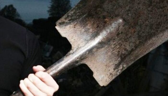 Potvrđena optužnica protiv lica iz Zvornika koji je fizički i verbalno napao sestru i sestriće na njivi pored porodičnog doma