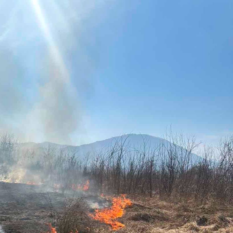 Sezona požara u punom jeku u Podrinju (FOTO)