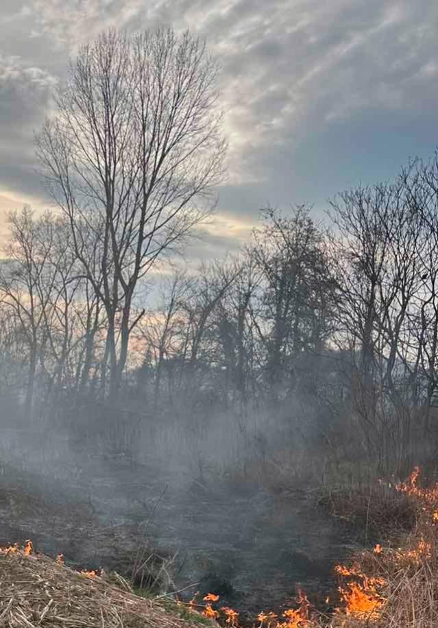 Sezona požara u punom jeku u Podrinju (FOTO)