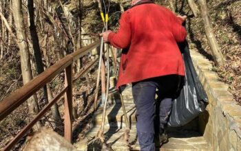 Otac i sin iz Hrnčića posadili sadnice voća smokvi i kupina pored stepenica do Kušlata (FOTO)