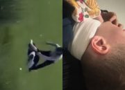 Tužilaštvo TK-a naredilo da se poduzmu sve mjere i istraži slučaj vršnjačkog nasilja u Memićima kod Kalesije, na razgovor pozvani i snimatelji događaja i navijači