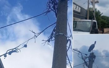 Udar groma prekinuo snadbijevanje električnom energijom za nekoliko stotina korisnika na području Zvornika (FOTO)