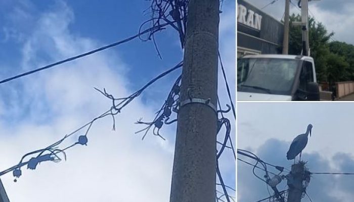 Udar groma prekinuo snadbijevanje električnom energijom za nekoliko stotina korisnika na području Zvornika (FOTO)