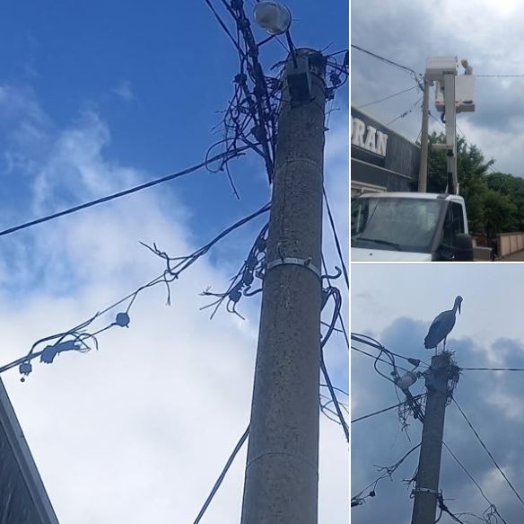 Udar groma prekinuo snadbijevanje električnom energijom za nekoliko stotina korisnika na području Zvornika (FOTO)