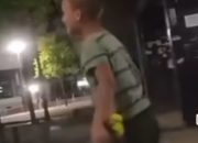 Vandali uništavaju cvijeće u centru Loznice – umjesto da krasi grad, završava u grudvanju!?