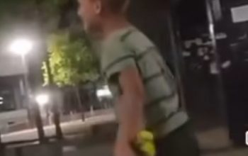 Vandali uništavaju cvijeće u centru Loznice – umjesto da krasi grad, završava u grudvanju!?
