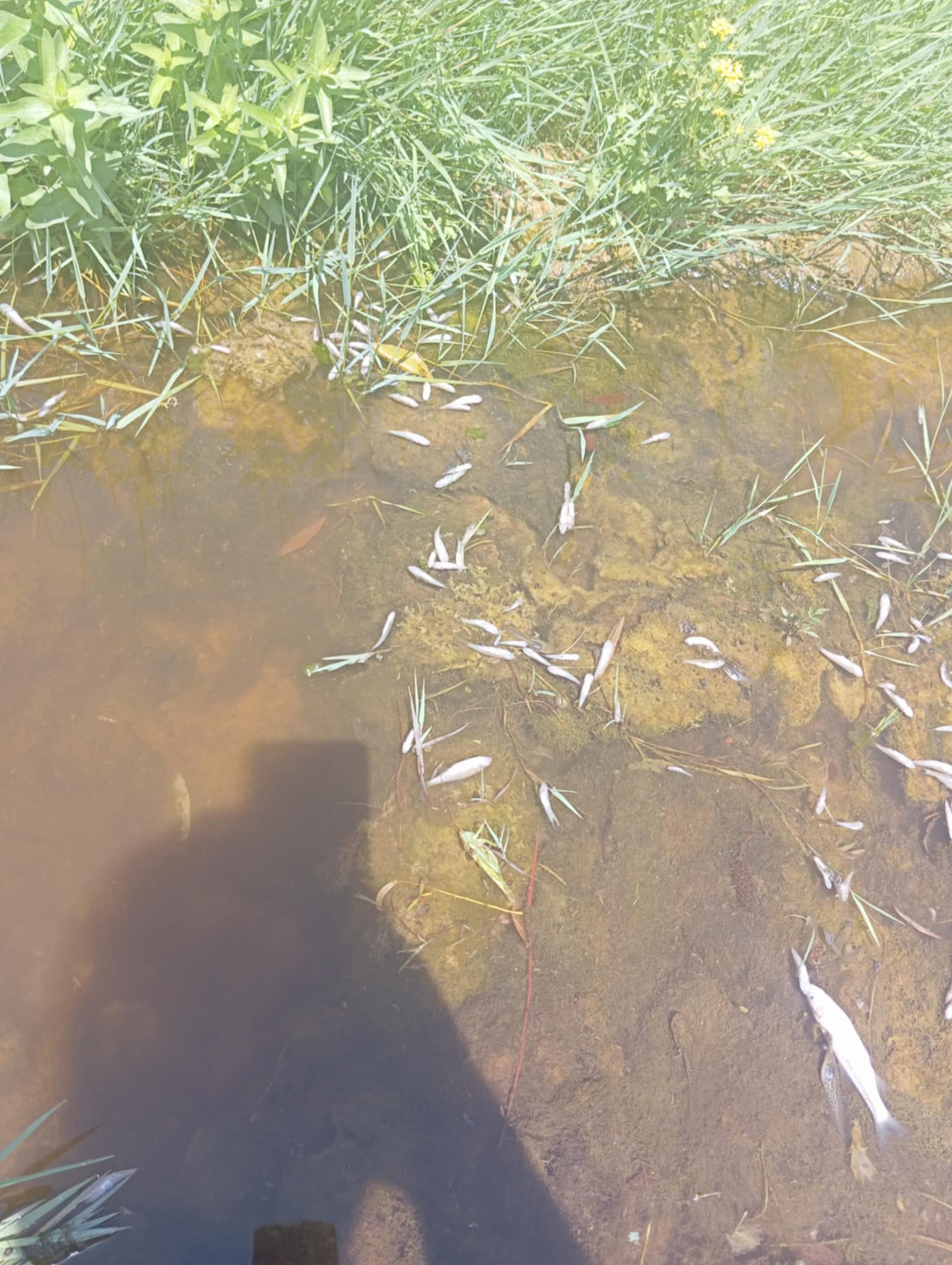 Zbog crvenog mulja u rijeci Sapna oglasili se iz Gradske uprave Zvornik, SRU Bistro i kompanije Nova Alumina (FOTO)
