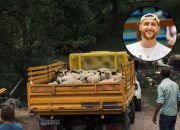 Jusuf Nurkić porodici iz Foče kupio stado ovaca nakon napada vukova