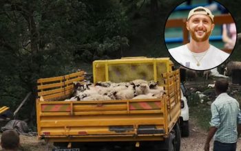 Prelijepa gesta Jusufa Nurkića, kupio stado ovaca povratničkoj porodici iz Foče nakon napada vukova
