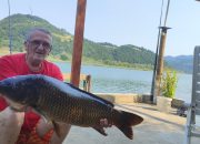 Ulovljen kapitalan primijerak šarana na Zvorničkom jezeru, sretne ruke iskusni Alija Jahijagić (FOTO)