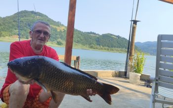 Ulovljen kapitalan primijerak šarana na Zvorničkom jezeru, sretne ruke iskusni Alija Jahijagić (FOTO)