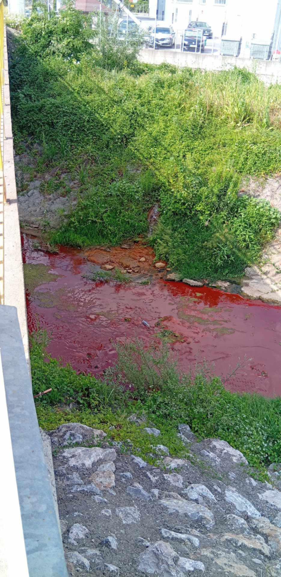 Ovog jutra crvena rijeka Sapna, ekološki inspektor na terenu (FOTO)