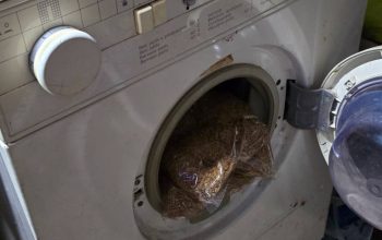 Carinici RC Tuzla u julu oduzeli 1.750 komada preparata „Kamagra“, 240 komada „Macun“, 6.870 paklica cigareta i 54 kg sitno rezanog duhana (FOTO)