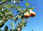 Objavljena vremenska prognoza za naredne dvije sedmice