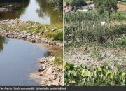 Spreča skoro presušila: Spržene bašte, ugrožena riba