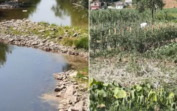Spreča skoro presušila: Spržene bašte, ugrožena riba
