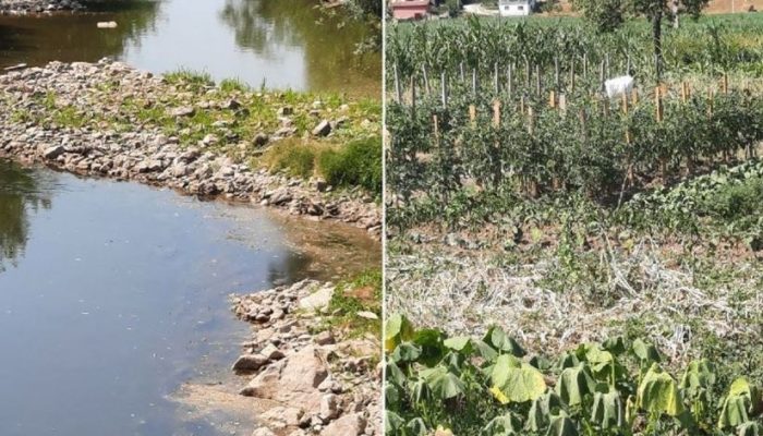 Spreča skoro presušila: Spržene bašte, ugrožena riba