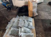 Uhapšena Lozničanka koja je krijumčarila više od dvadeset kilograma droge (FOTO)