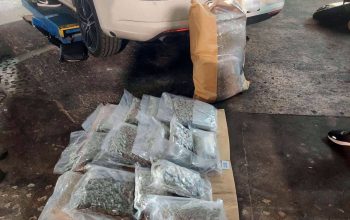 Uhapšena Lozničanka koja je krijumčarila više od dvadeset kilograma droge (FOTO)