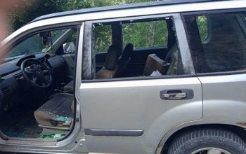Medvjed kamenjem gađao u ljude u automobilu, na svu sreću izbjegnuta tragedija (FOTO)