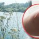 Biljka ”ubica” stigla do Drine? Samo jedan dodir i možete trajno izgubiti vid