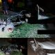 Saobraćajna nezgoda kod Đulića: Sudar automobila i multikultivatora, jedno lice zadobilo povrede (FOTO)