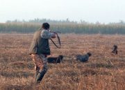 Najatraktivniji lov na sitnu divljač u avgustu i septembru