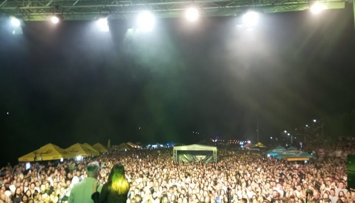 Šesti dan “Zvorničkog ljeta” obilježio koncert Saše Matića za pamćenje i predstava za najmlađe (FOTO)