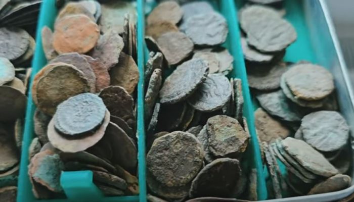 Zaljubljenik u prošlost iz Kalesije pronašao 300 drevnih rimskih novčića