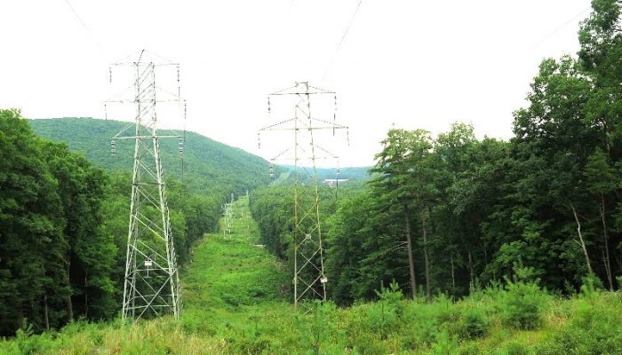 Obnova šumskog prosjeka na području Zvornika