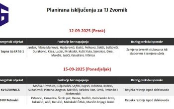 Danas