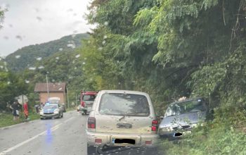 Saobraćajna nezgoda u Novom Selu: Vozilo sletjelo sa puta (FOTO)