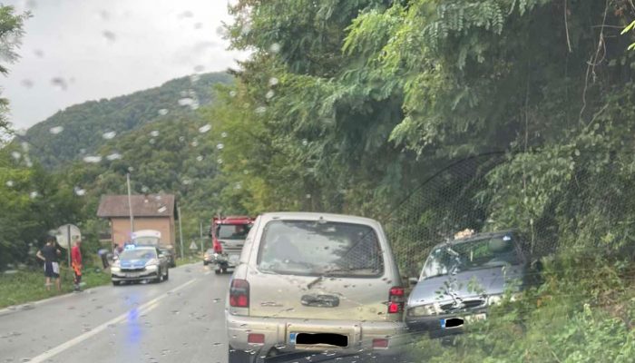 Saobraćajna nezgoda u Novom Selu: Vozilo sletjelo sa puta (FOTO)