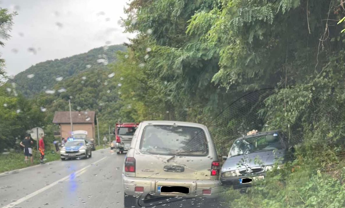 Saobraćajna nezgoda u Novom Selu: Vozilo sletjelo sa puta (FOTO)