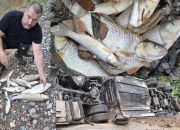 Pomor ribe u Jadru nakon izlivanja goriva iz prevrnute cisterne u Milićima (FOTO+VIDEO)