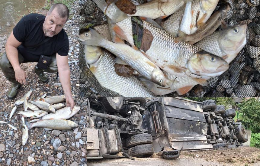Pomor ribe u Jadru nakon izlivanja goriva iz prevrnute cisterne u Milićima (FOTO+VIDEO)