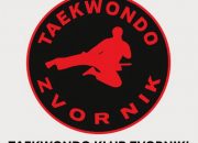 Upis novih članova u Taekwondo klubu „Zvornik“ – pridruži se i ti!