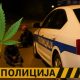 Tri osobe sankcionisane zbog konzumiranja marihuane na javnom mjestu
