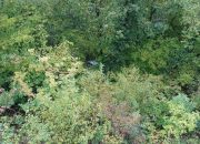Smrtno stradale dvije osobe u saobraćajnoj nesreći u Podrinju